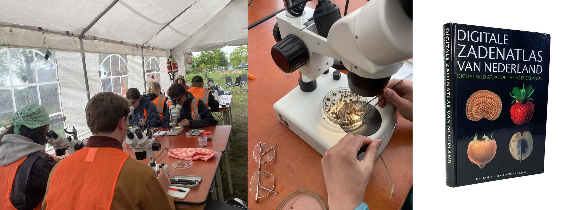 Archeobotanisch onderzoek in de tent te Yesse